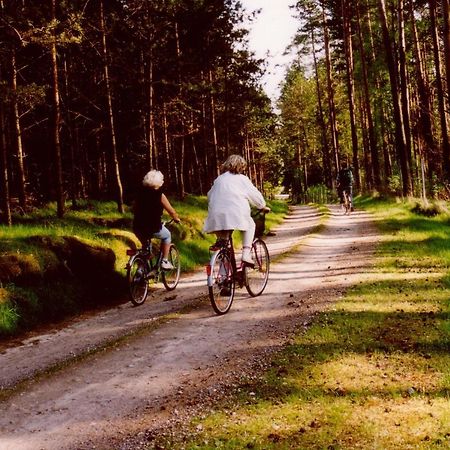 Kleine Auszeit - Natur Und Erholung In Mecklenburg Reimershagen 外观 照片