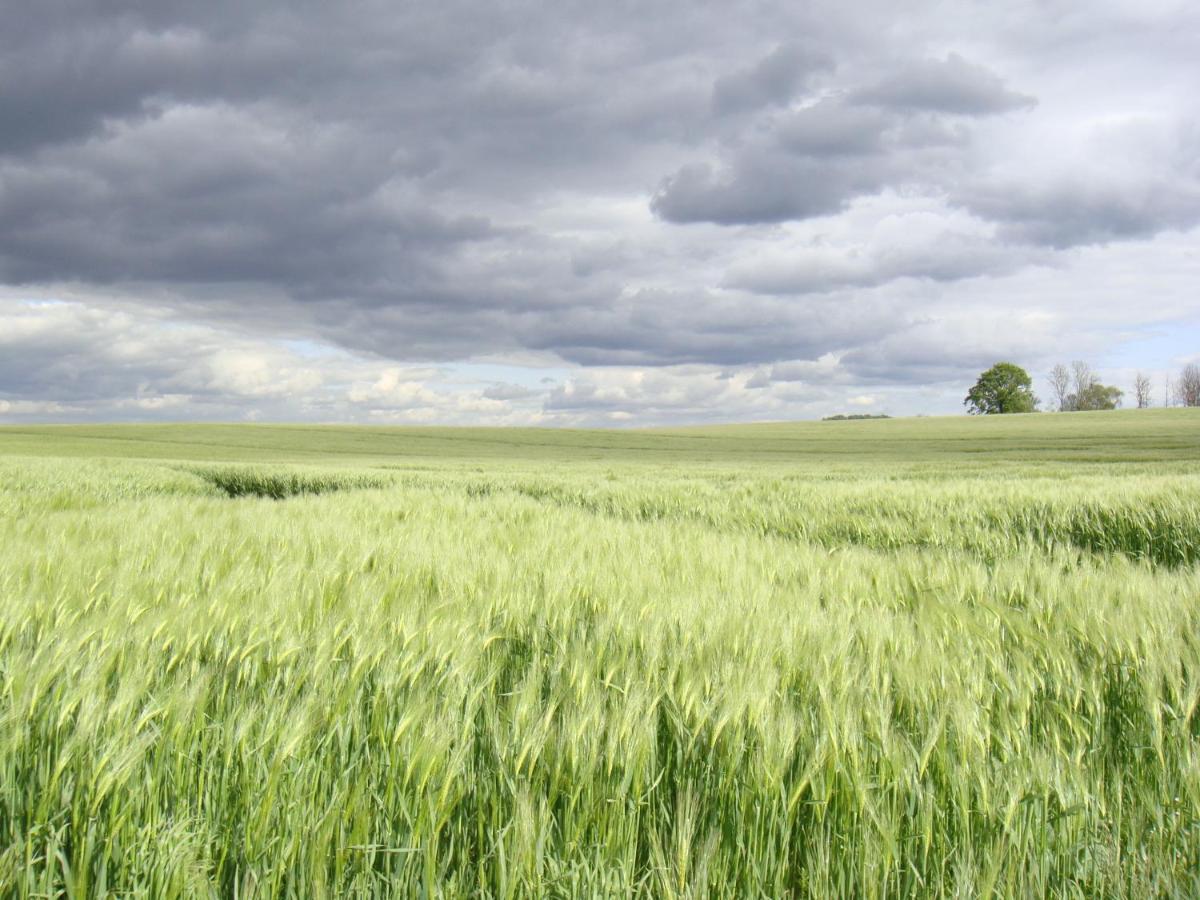 Kleine Auszeit - Natur Und Erholung In Mecklenburg Reimershagen 外观 照片