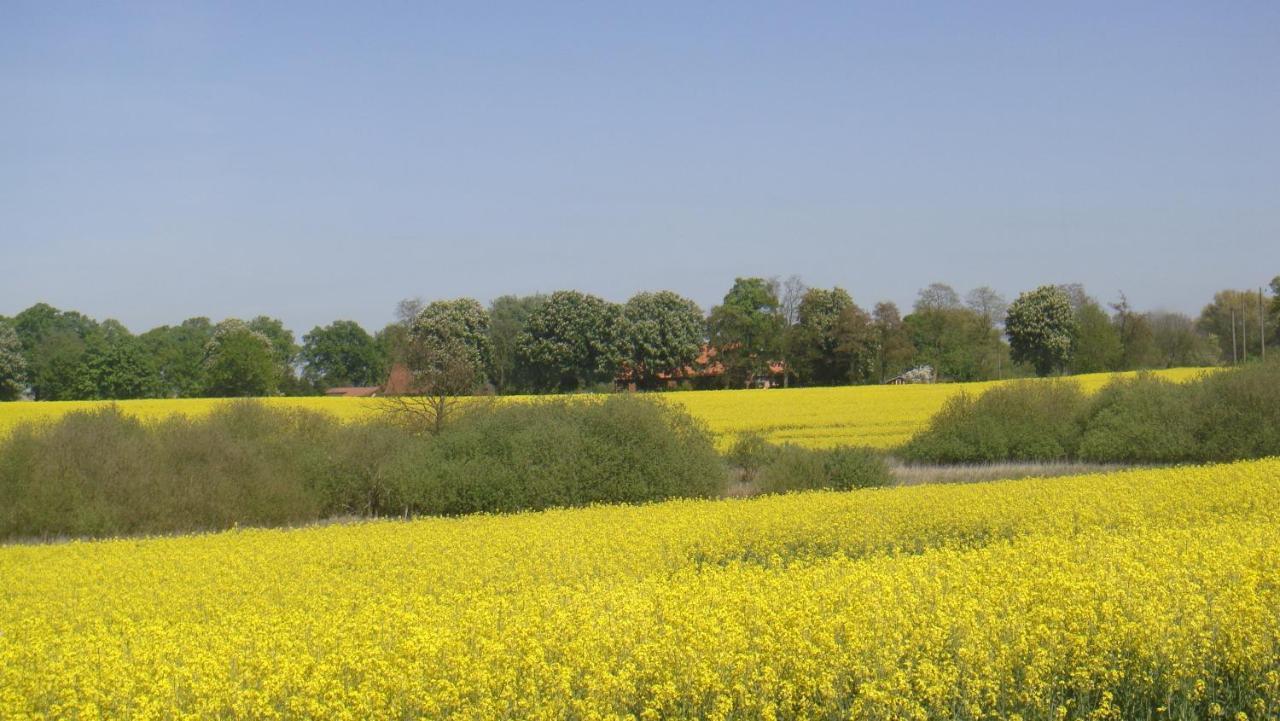 Kleine Auszeit - Natur Und Erholung In Mecklenburg Reimershagen 外观 照片