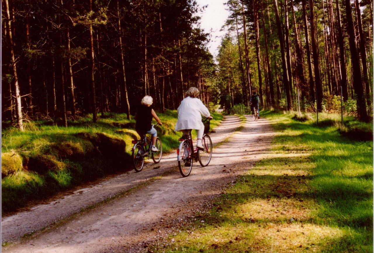 Kleine Auszeit - Natur Und Erholung In Mecklenburg Reimershagen 外观 照片